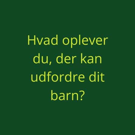 Hvad oplever du, der kan udfordre dit barn, sansemotorik.net, Sansemotorik,