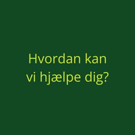 2 hvordan kan vi hjælpe dig, sansemotorik.net, Sansemotorik,